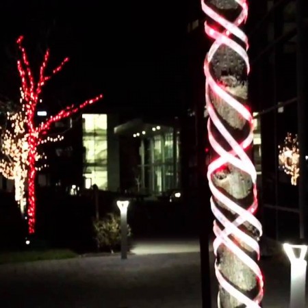 CheerLights Trees are Back at MathWorks